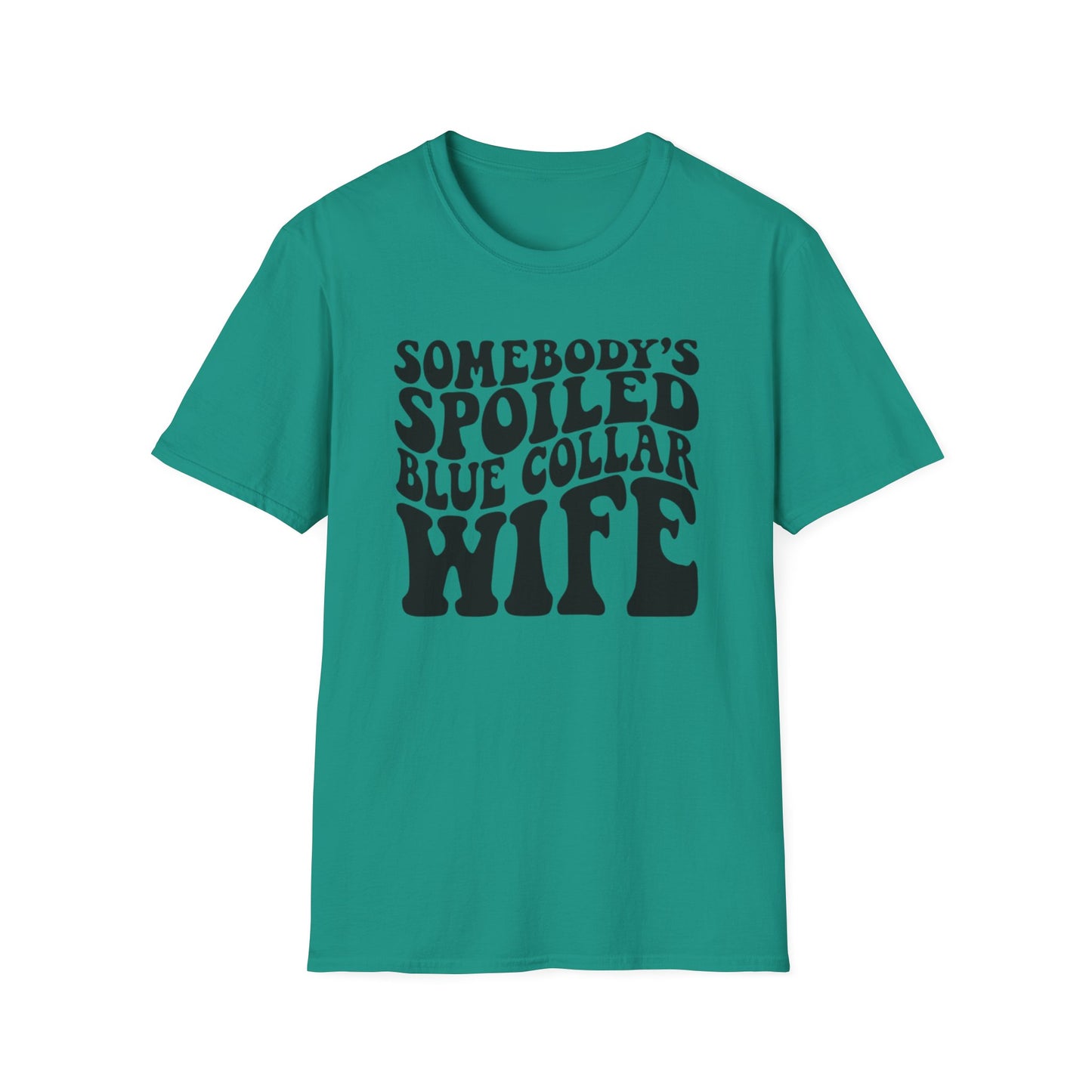 Somebody’s Spoiled Blue Collar Wife
