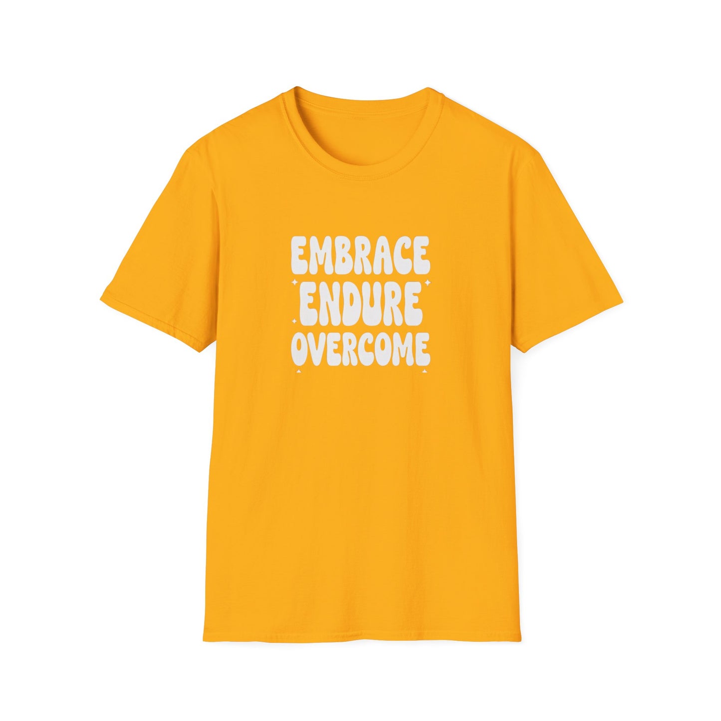 Embrace Endure Overcome